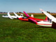 four gliders2-s.JPG (3818 bytes)